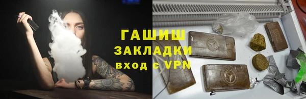 индика Кулебаки