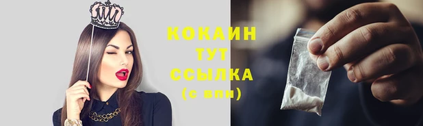 крисы Костерёво