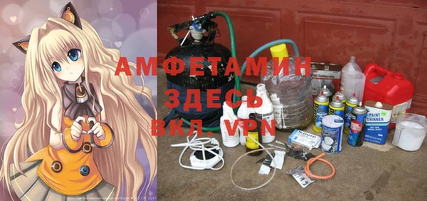 сатива Кукмор