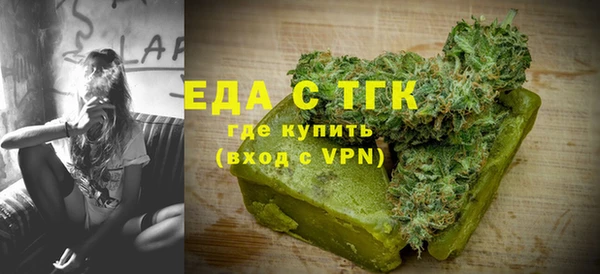 индика Кулебаки