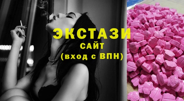 индика Кулебаки